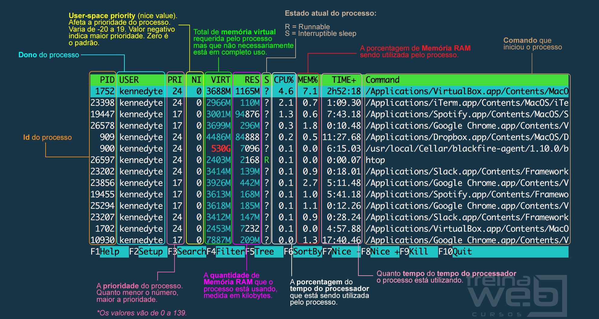 Tela do htop exibindo detalhes dos processos